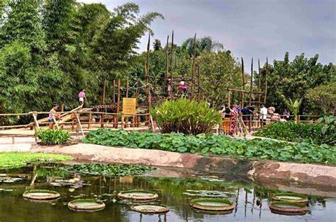 Excursion unique et enrichissante au Crocoparc d'Agadir